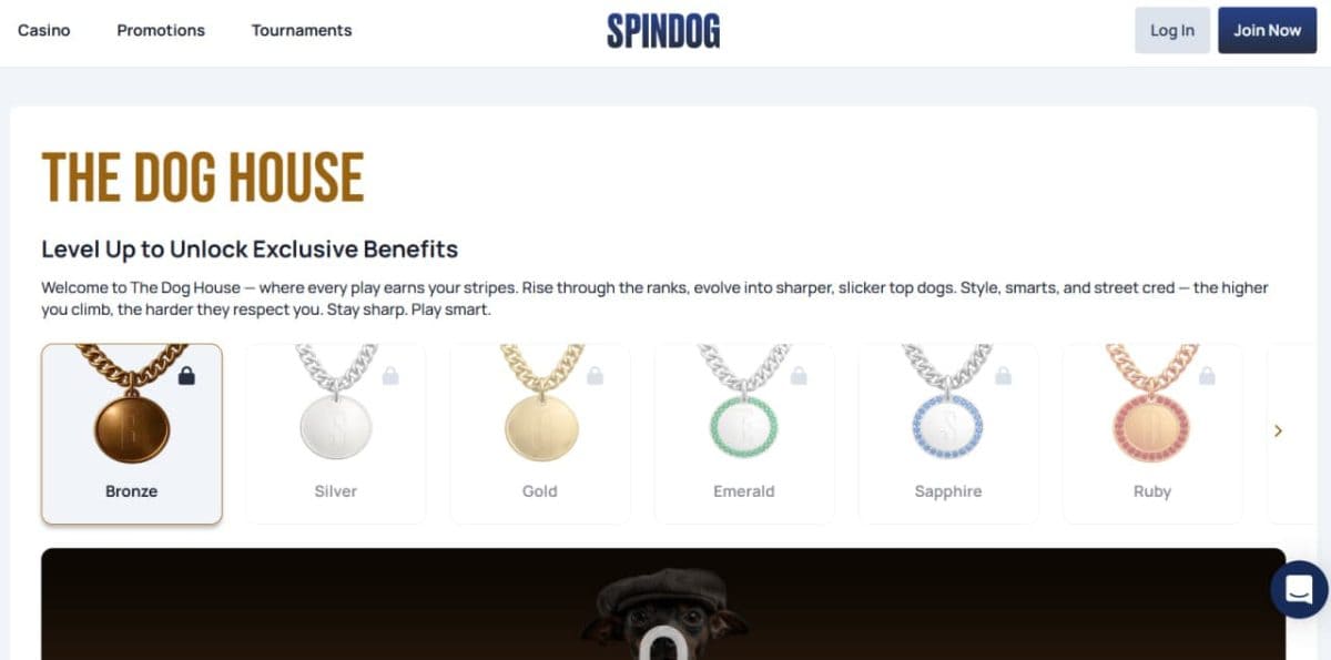 Spin Dog Casino — Real Money Slot Games image 3